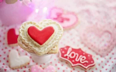 pexels photo 20192807 e1708210599811 400x250 - Home