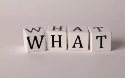 pexels photo 15368253 1 e1725728928605 400x250 - Home